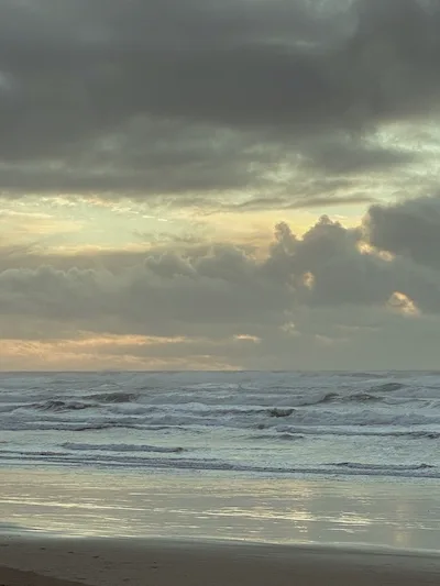Shoreline of an ocean beach and waves