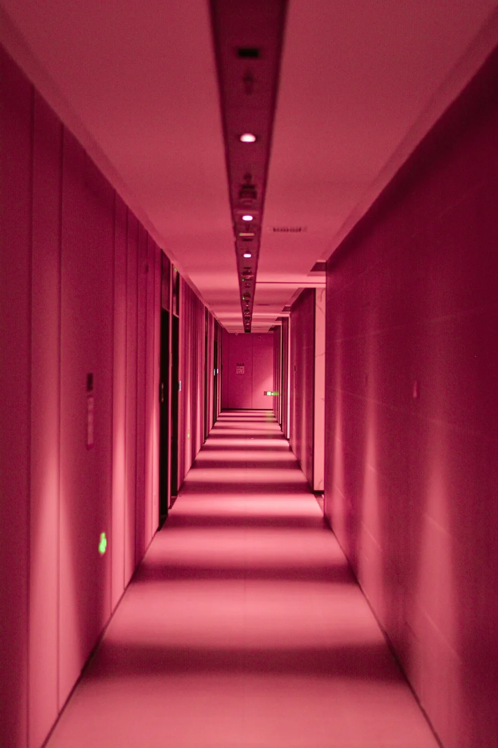 Hallway in building covered in pink lighting with parallel walls that demonstrate a mathematical vanishing point.