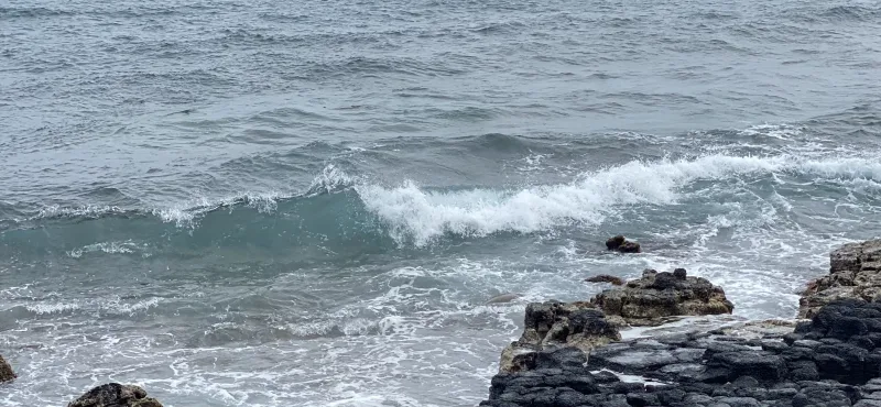 What Motivates The Height Of Our Potential Energy