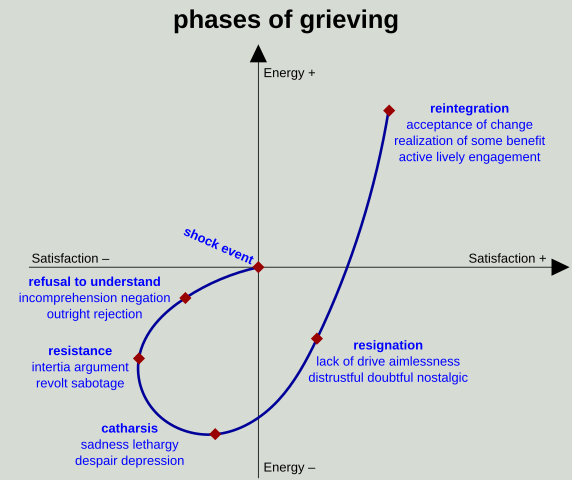 a "phases of grieving" x,y chart, showing a typical path of a person's grief process